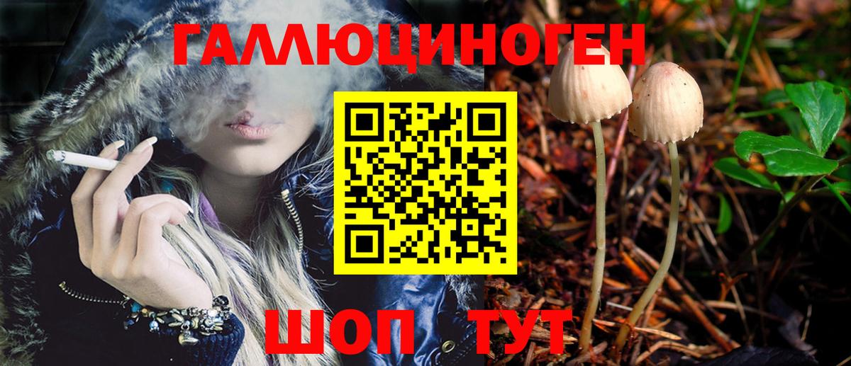 Галлюциногенные грибы Psilocybine cubensis  Вход с VPN  Комсомольск-на-Амуре 